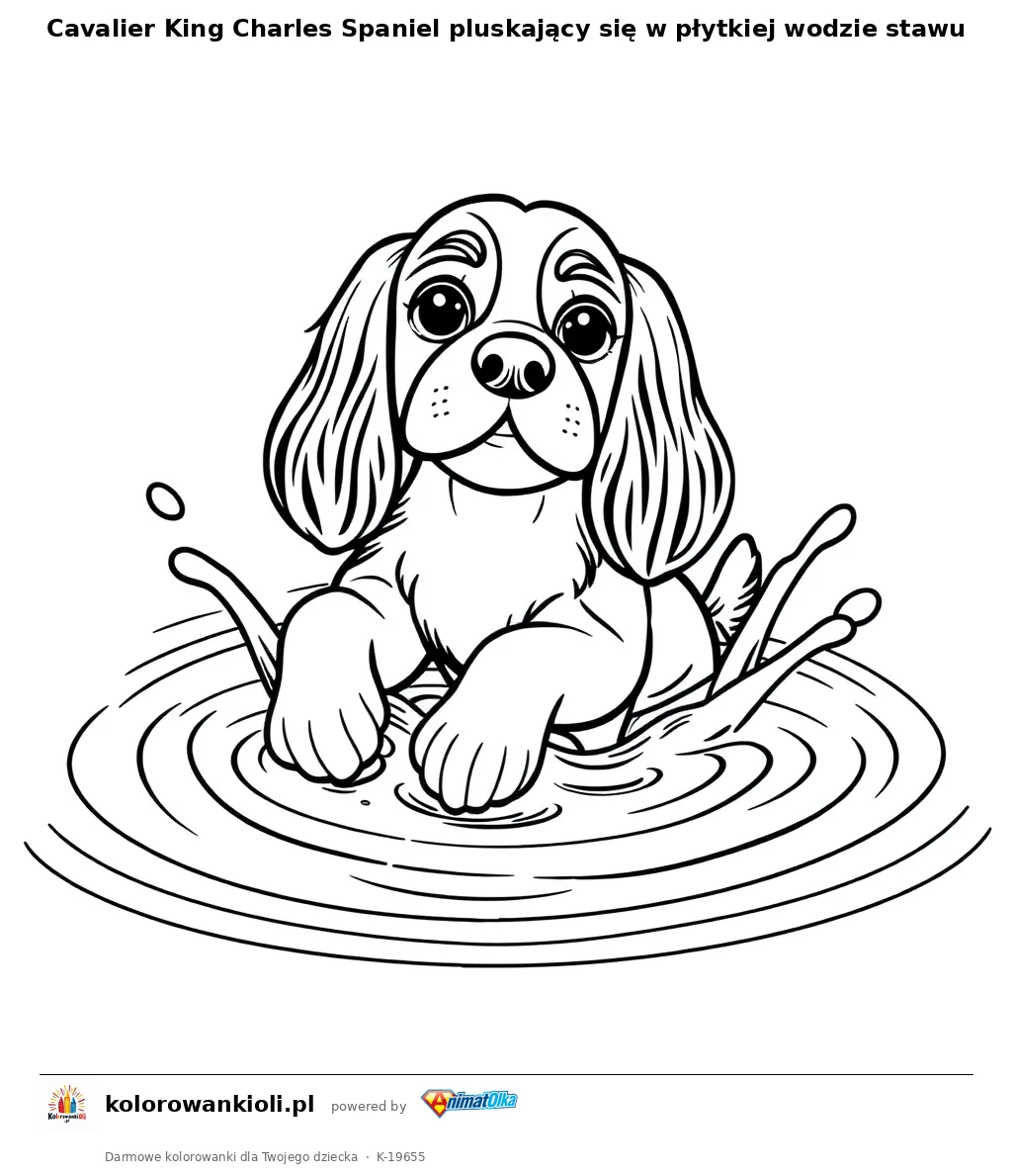 Cavalier King Charles Spaniel pluskający się w płytkiej wodzie stawu — kolorowanka do wydruku dla dzieci