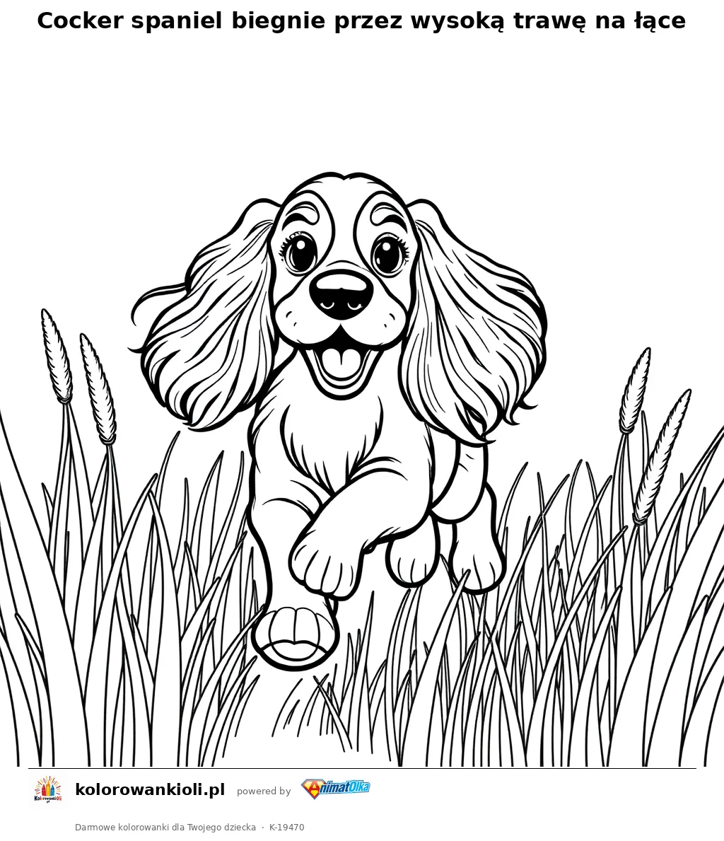 Cocker spaniel biegnie przez wysoką trawę na łące — kolorowanka do wydruku dla dzieci