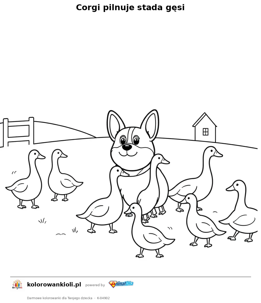 Corgi pilnuje stada gęsi — kolorowanka do wydruku dla dzieci