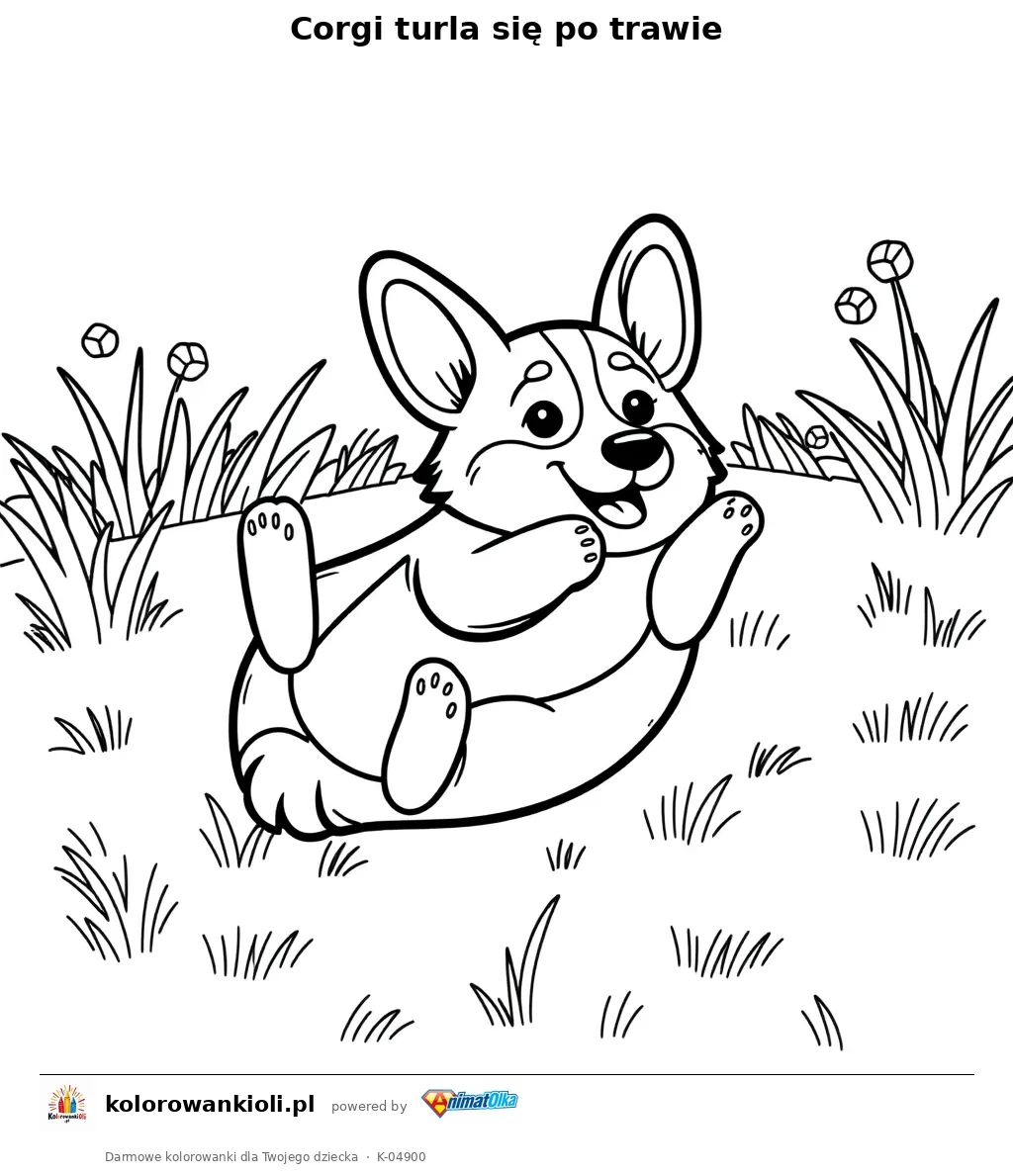 Corgi turla się po trawie — kolorowanka do wydruku dla dzieci