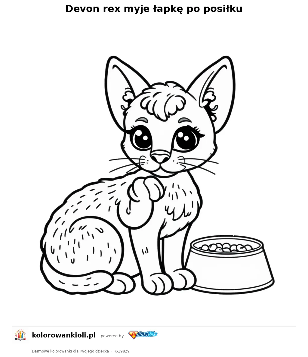 Devon rex myje łapkę po posiłku — kolorowanka do wydruku dla dzieci