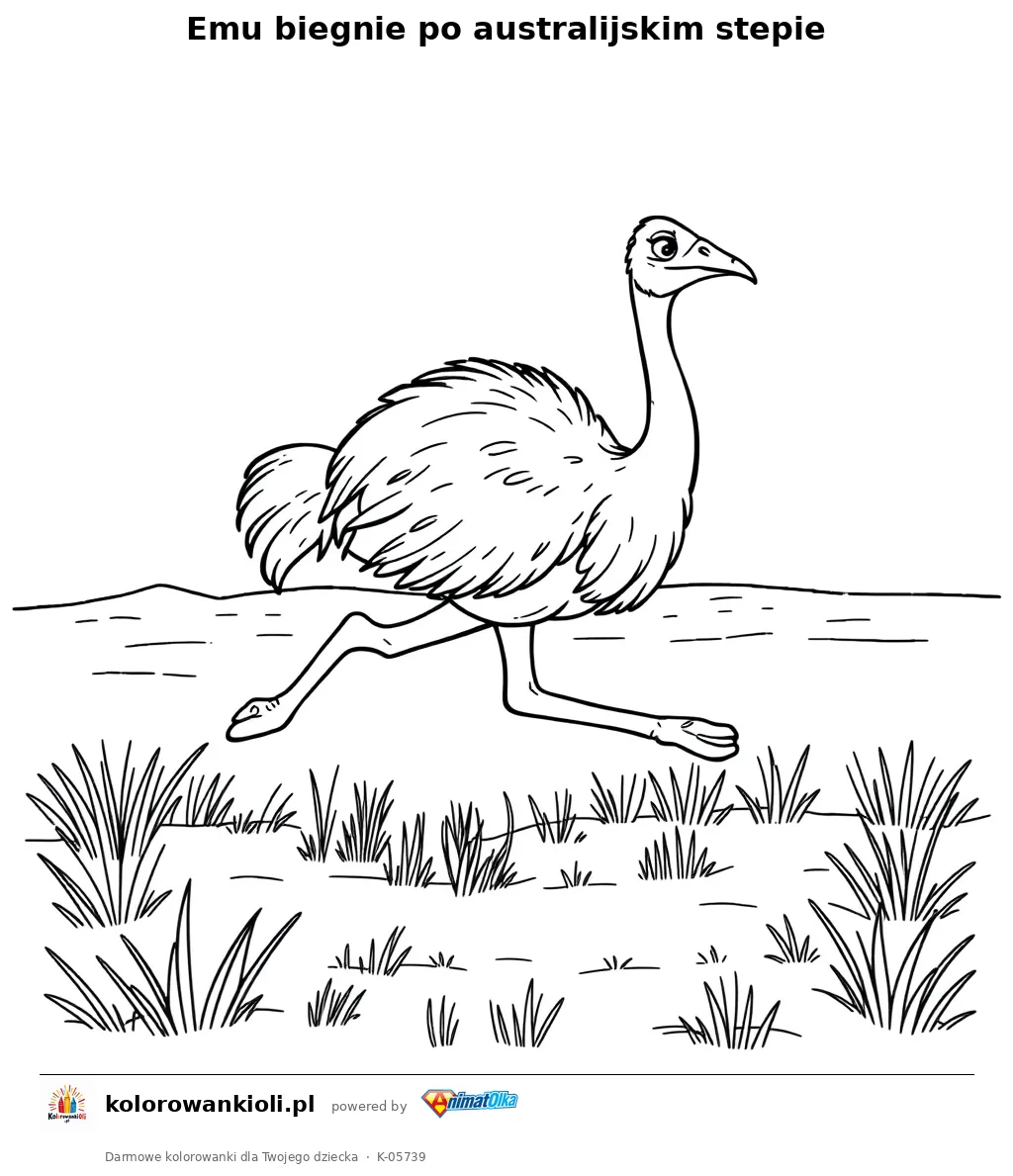 Emu biegnie po australijskim stepie — kolorowanka do wydruku dla dzieci