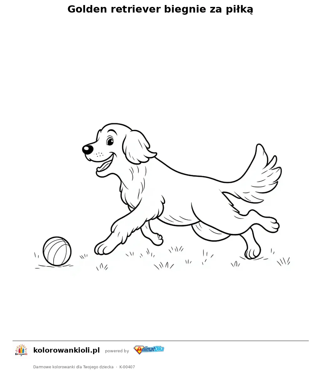 Golden retriever biegnie za piłką — kolorowanka do wydruku dla dzieci