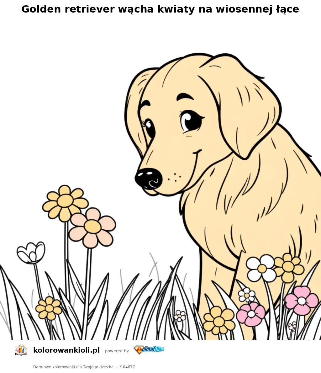 Golden retriever wącha kwiaty na wiosennej łące — kolorowanka do wydruku dla dzieci