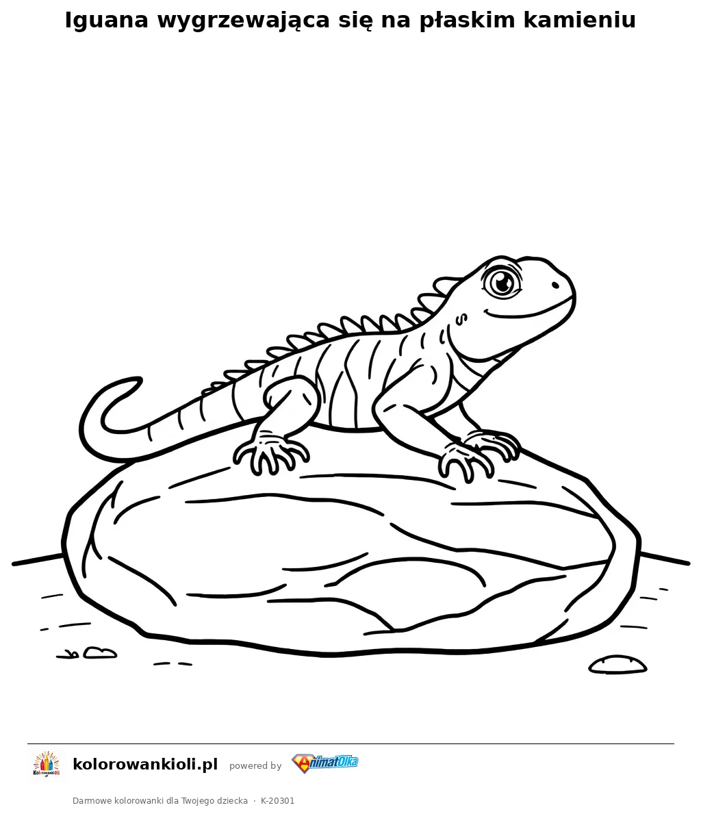Iguana wygrzewająca się na płaskim kamieniu — kolorowanka do wydruku dla dzieci