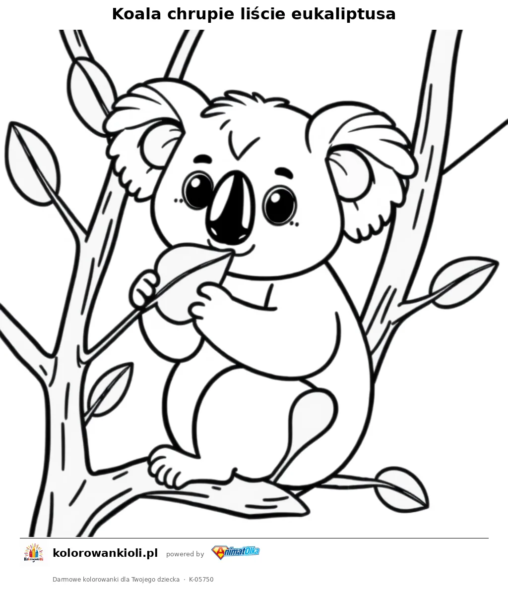Koala chrupie liście eukaliptusa — kolorowanka do wydruku dla dzieci