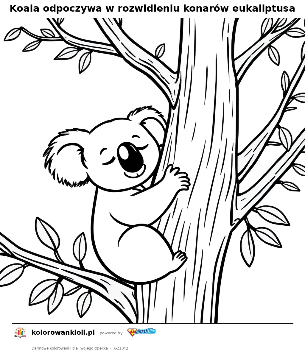 Koala odpoczywa w rozwidleniu konarów eukaliptusa — kolorowanka do wydruku dla dzieci