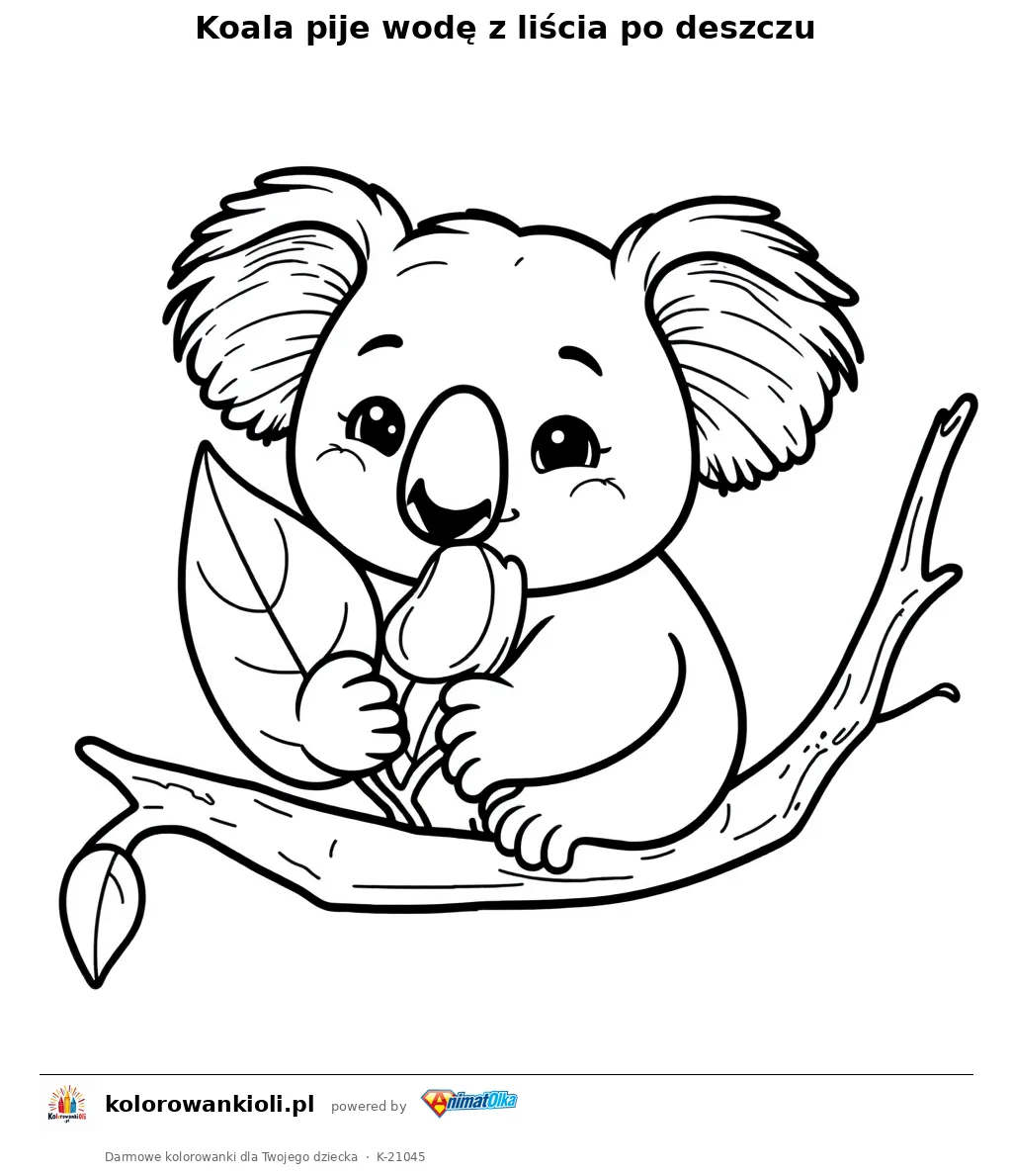 Koala pije wodę z liścia po deszczu — kolorowanka do wydruku dla dzieci