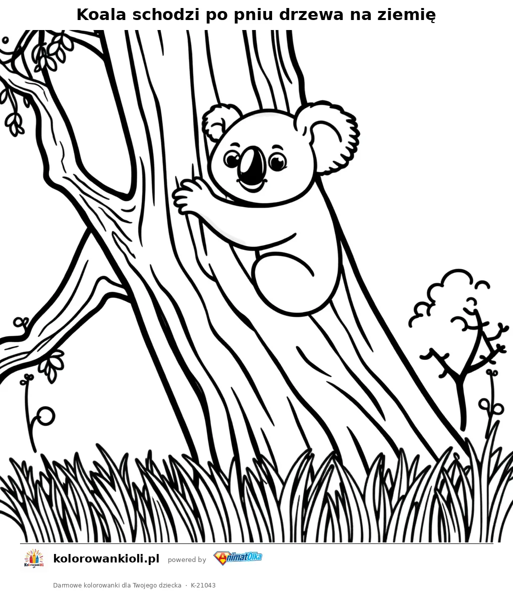 Koala schodzi po pniu drzewa na ziemię — kolorowanka do wydruku dla dzieci