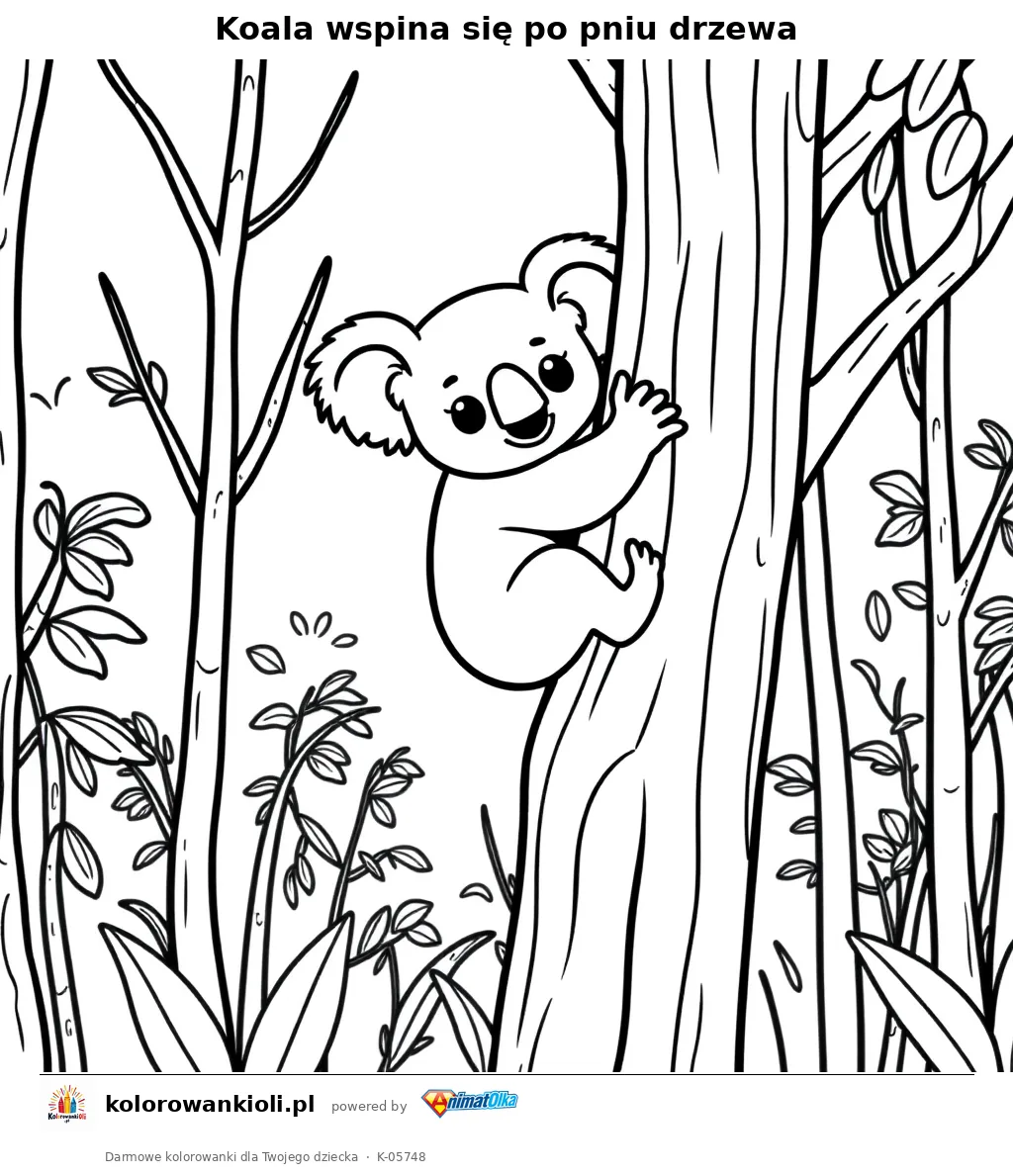 Koala wspina się po pniu drzewa — kolorowanka do wydruku dla dzieci