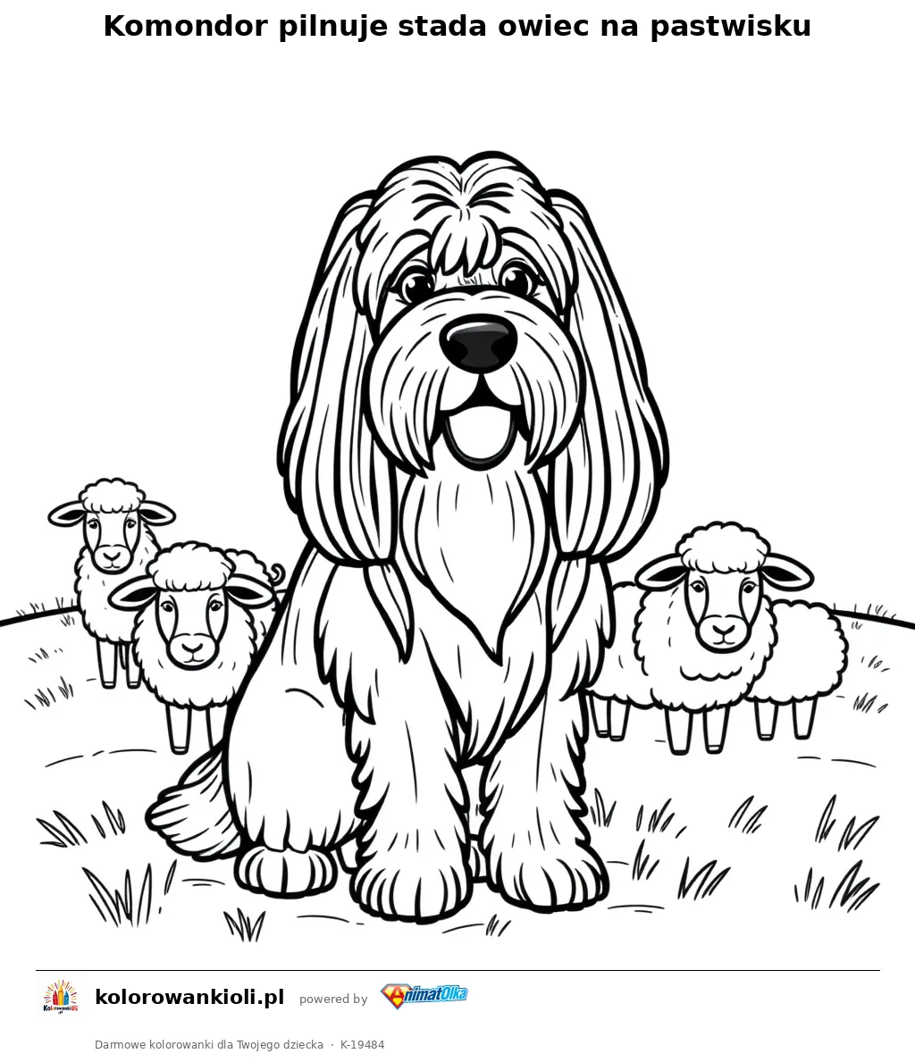 Komondor pilnuje stada owiec na pastwisku — kolorowanka do wydruku dla dzieci