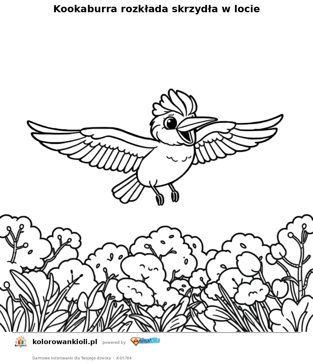 Kookaburra rozkłada skrzydła w locie — kolorowanka do wydruku dla dzieci