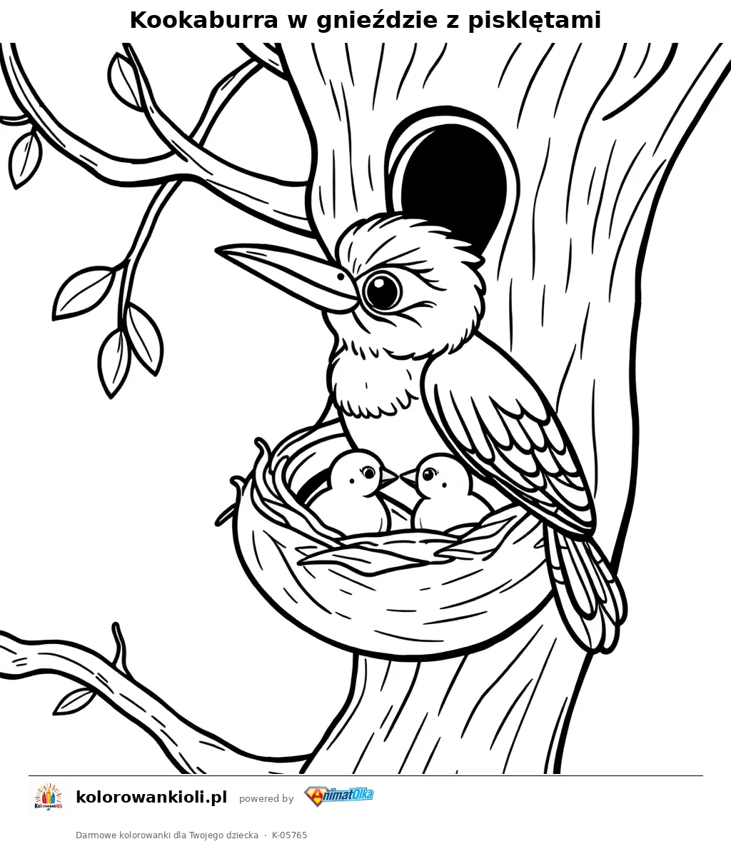 Kookaburra w gnieździe z pisklętami — kolorowanka do wydruku dla dzieci