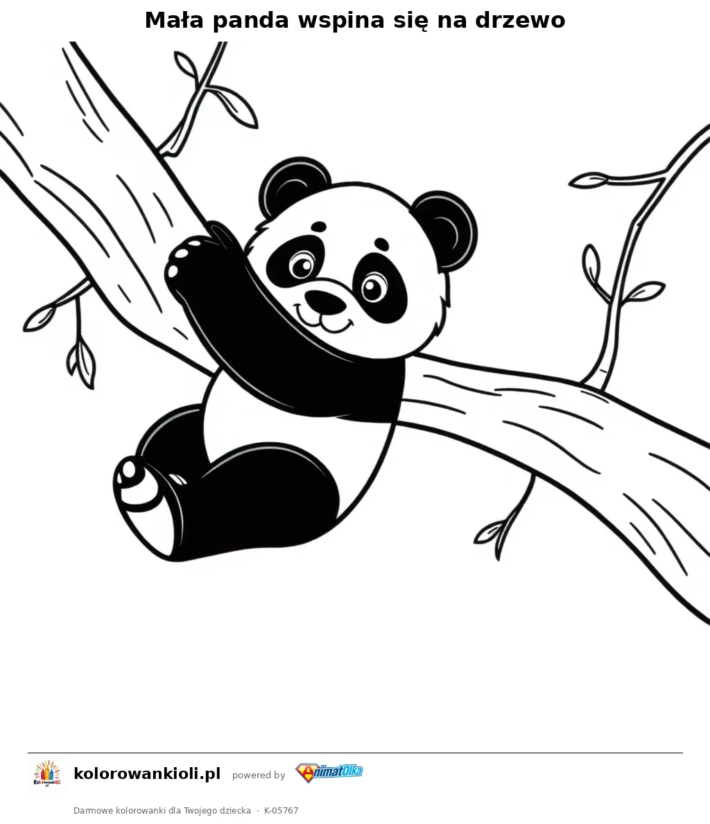 Mała panda wspina się na drzewo — kolorowanka do wydruku dla dzieci