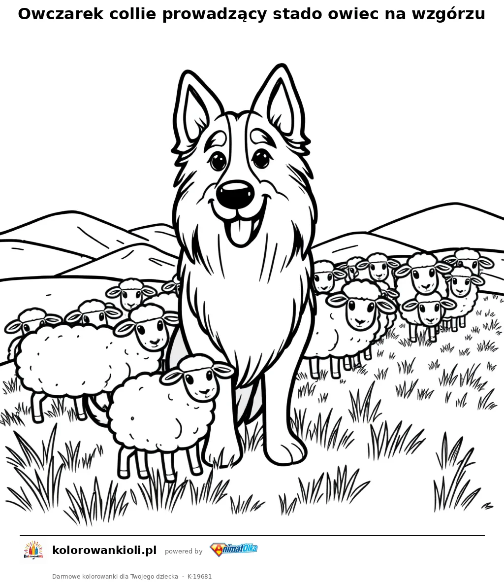 Owczarek collie prowadzący stado owiec na wzgórzu — kolorowanka do wydruku dla dzieci