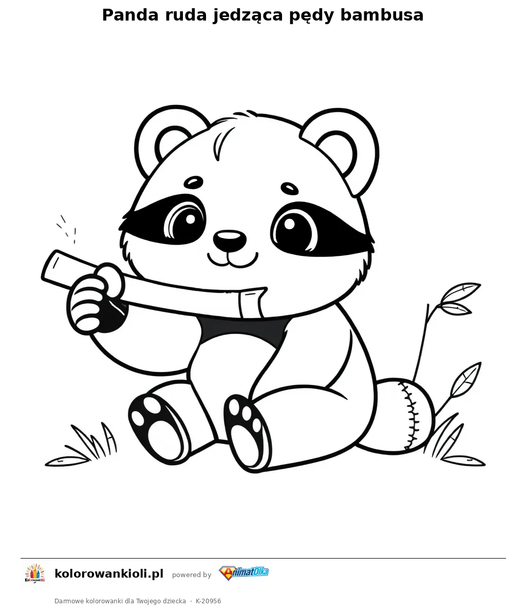 Panda ruda jedząca pędy bambusa — kolorowanka do wydruku dla dzieci