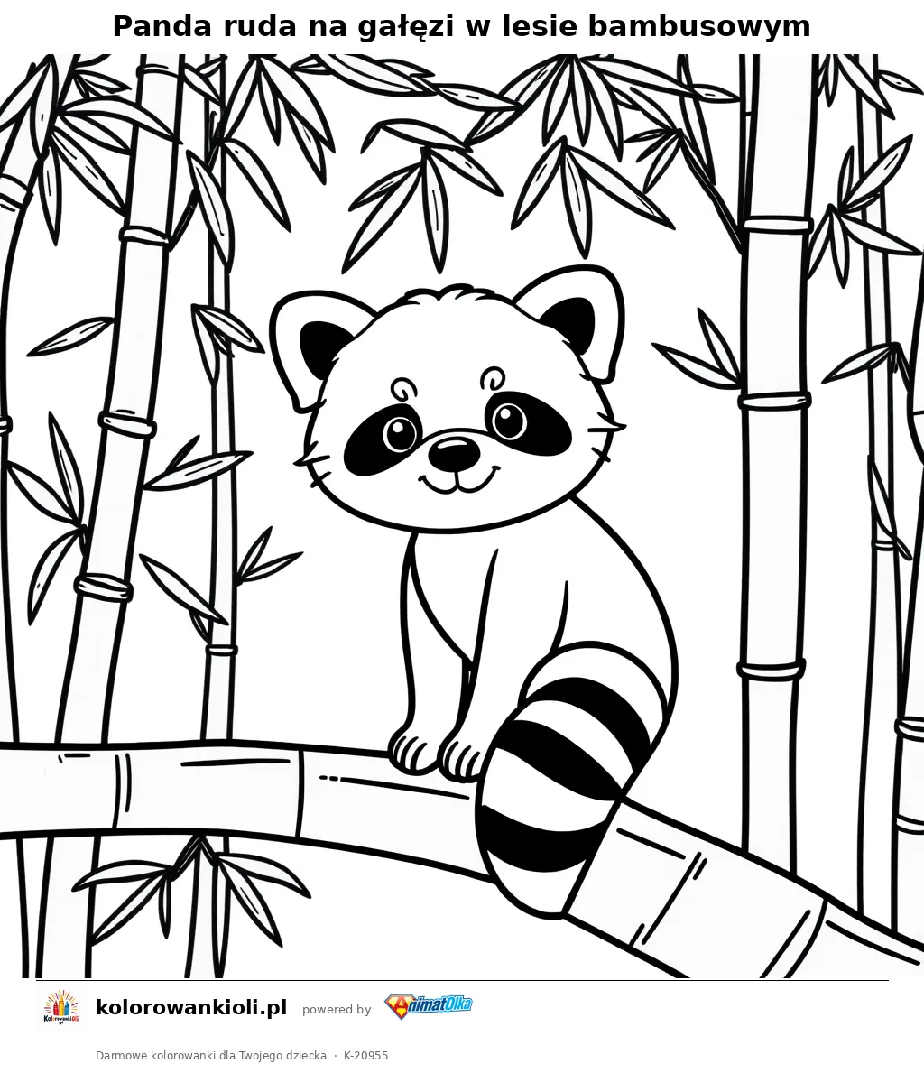 Panda ruda na gałęzi w lesie bambusowym — kolorowanka do wydruku dla dzieci