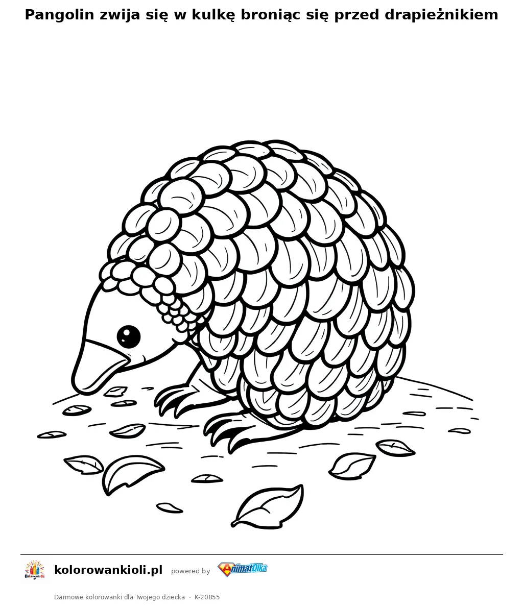 Pangolin zwija się w kulkę broniąc się przed drapieżnikiem — kolorowanka do wydruku dla dzieci