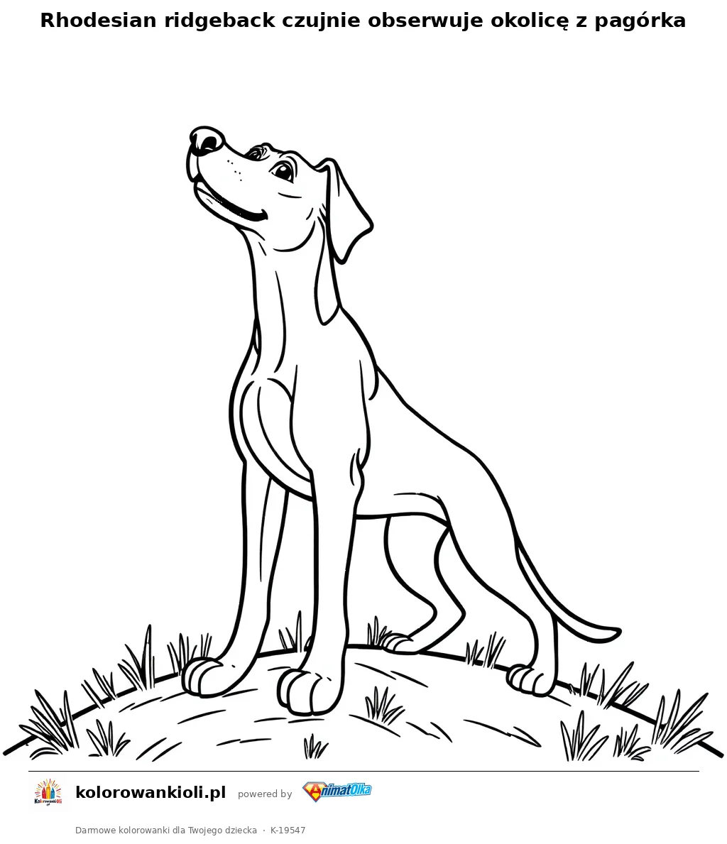 Rhodesian ridgeback czujnie obserwuje okolicę z pagórka — kolorowanka do wydruku dla dzieci