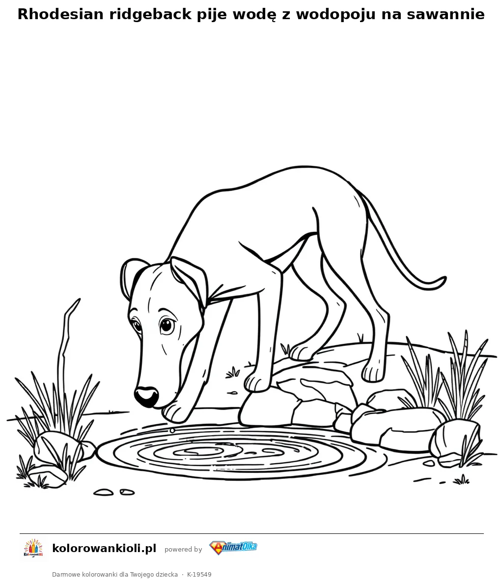 Rhodesian ridgeback pije wodę z wodopoju na sawannie — kolorowanka do wydruku dla dzieci