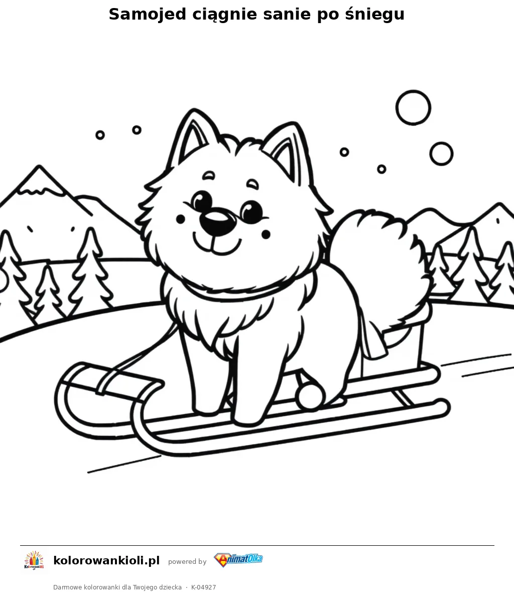 Samojed ciągnie sanie po śniegu — kolorowanka do wydruku dla dzieci