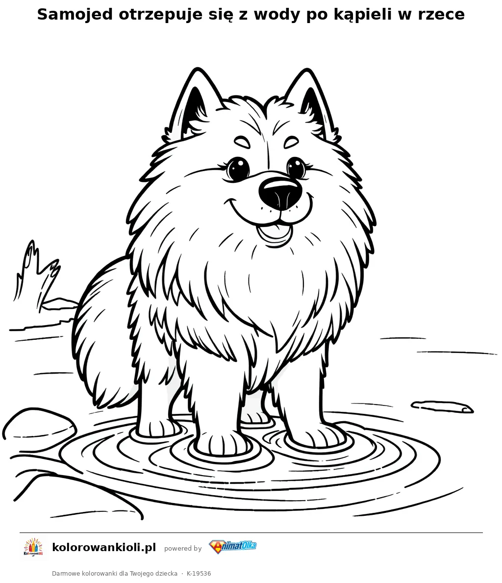 Samojed otrzepuje się z wody po kąpieli w rzece — kolorowanka do wydruku dla dzieci
