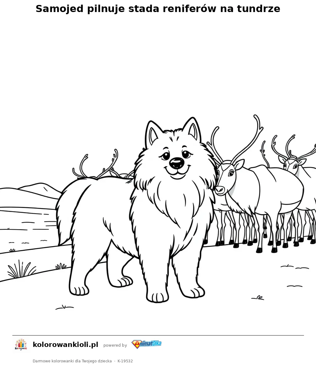 Samojed pilnuje stada reniferów na tundrze — kolorowanka do wydruku dla dzieci