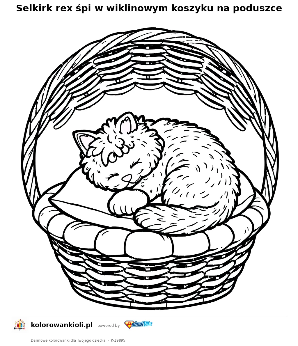 Selkirk rex śpi w wiklinowym koszyku na poduszce — kolorowanka do wydruku dla dzieci