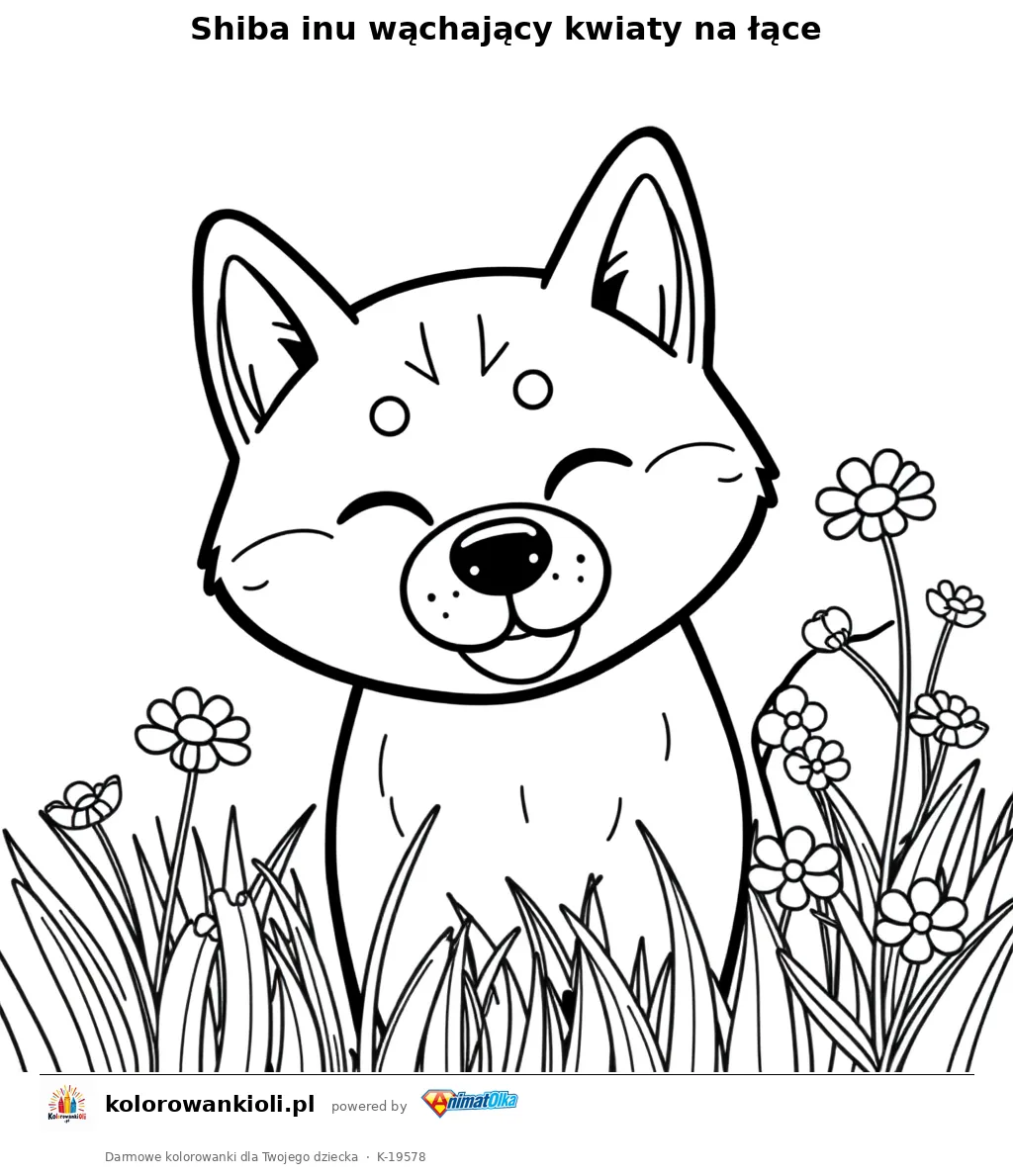 Shiba inu wąchający kwiaty na łące — kolorowanka do wydruku dla dzieci