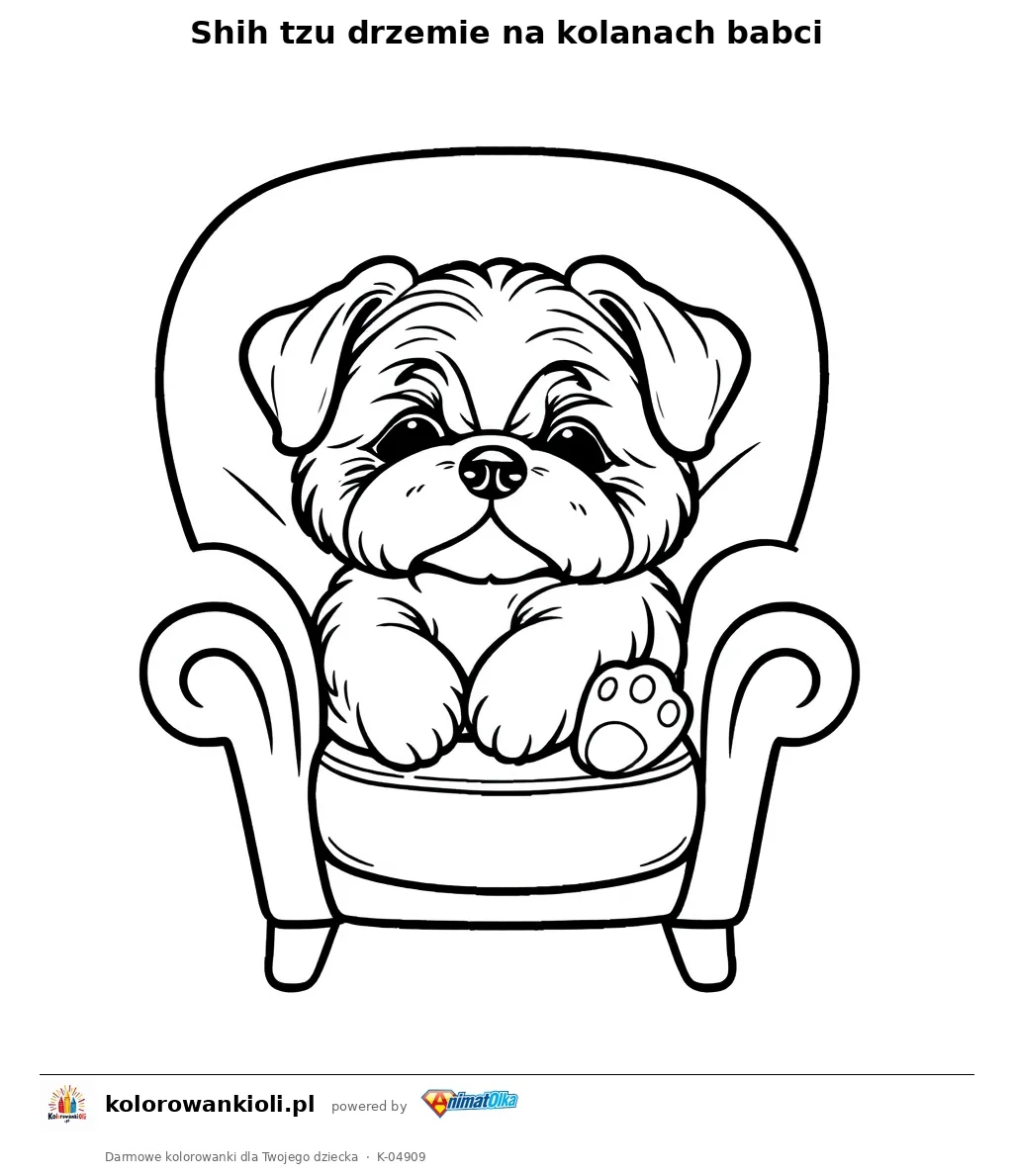 Shih tzu drzemie na kolanach babci — kolorowanka do wydruku dla dzieci