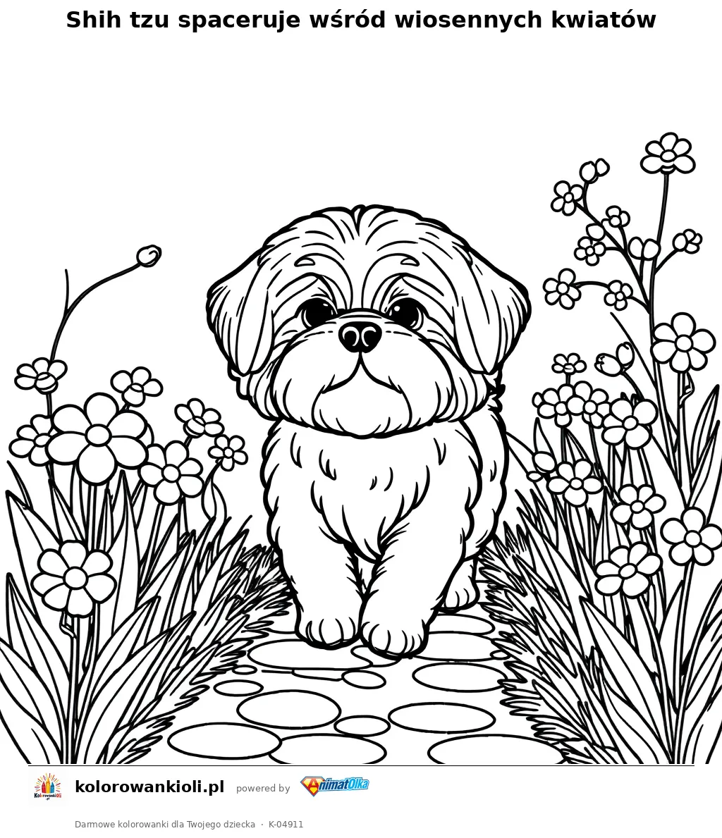 Shih tzu spaceruje wśród wiosennych kwiatów — kolorowanka do wydruku dla dzieci
