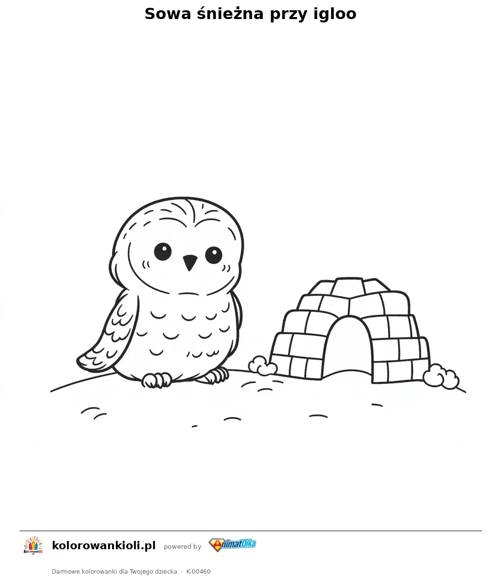 Sowa śnieżna przy igloo — kolorowanka do wydruku dla dzieci