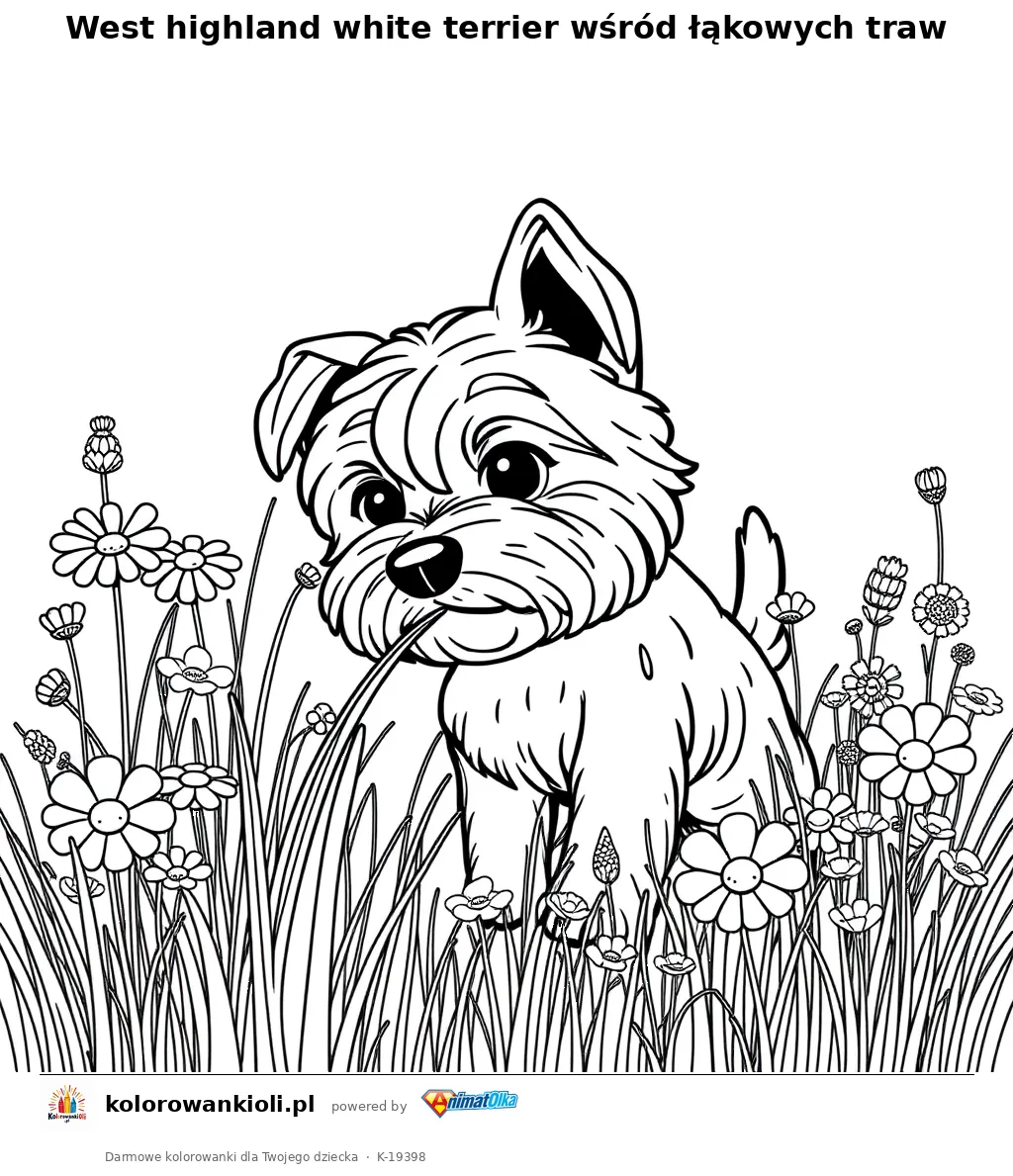 West highland white terrier wśród łąkowych traw — kolorowanka do wydruku dla dzieci