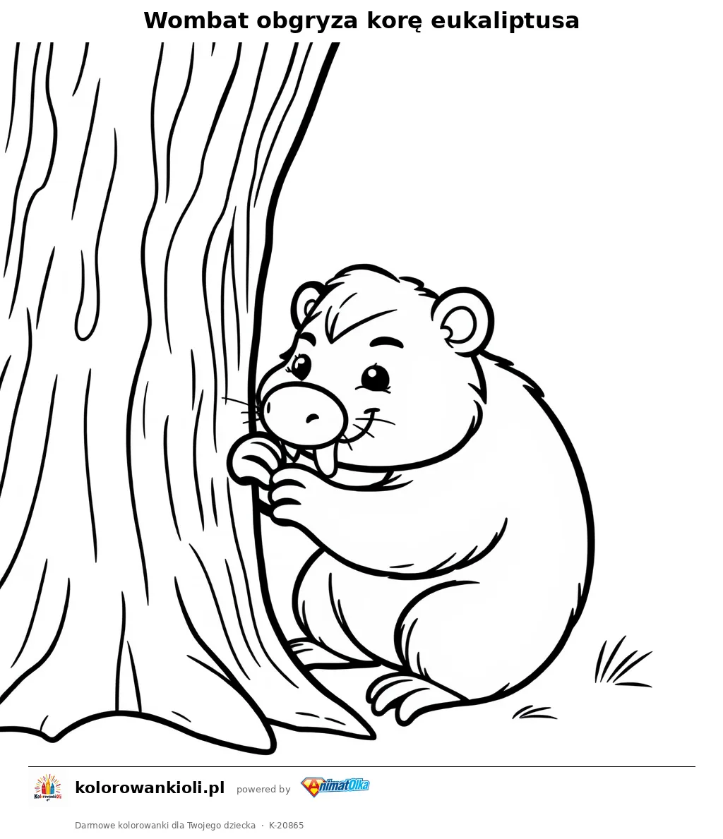 Wombat obgryza korę eukaliptusa — kolorowanka do wydruku dla dzieci