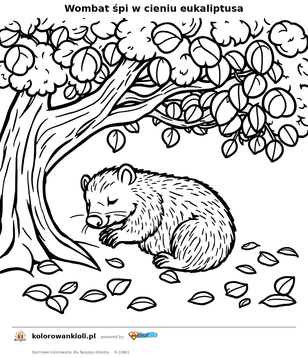 Wombat śpi w cieniu eukaliptusa — kolorowanka do wydruku dla dzieci