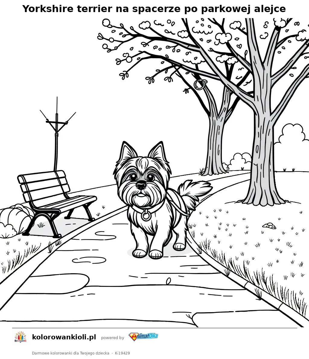 Yorkshire terrier na spacerze po parkowej alejce — kolorowanka do wydruku dla dzieci