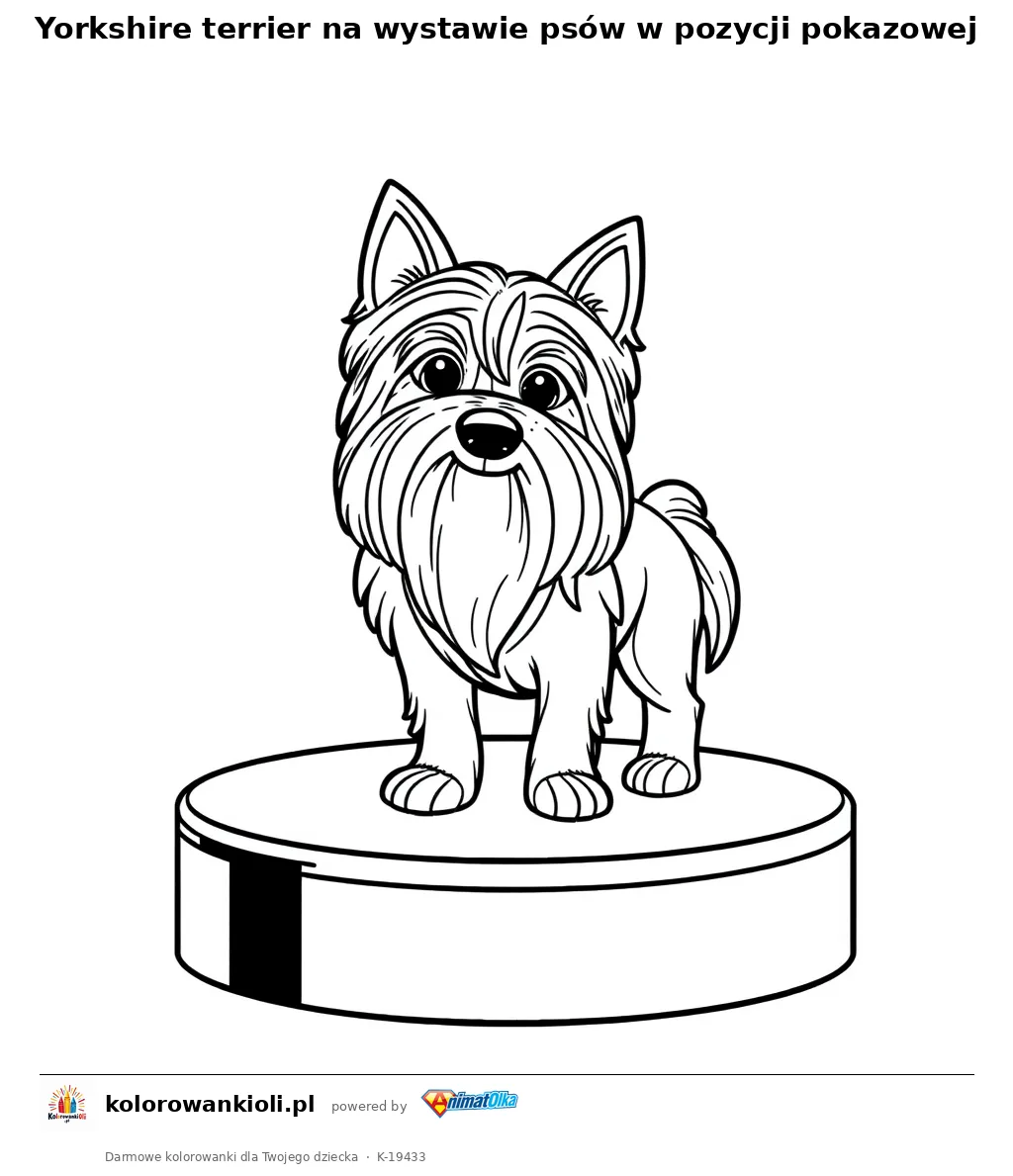 Yorkshire terrier na wystawie psów w pozycji pokazowej — kolorowanka do wydruku dla dzieci