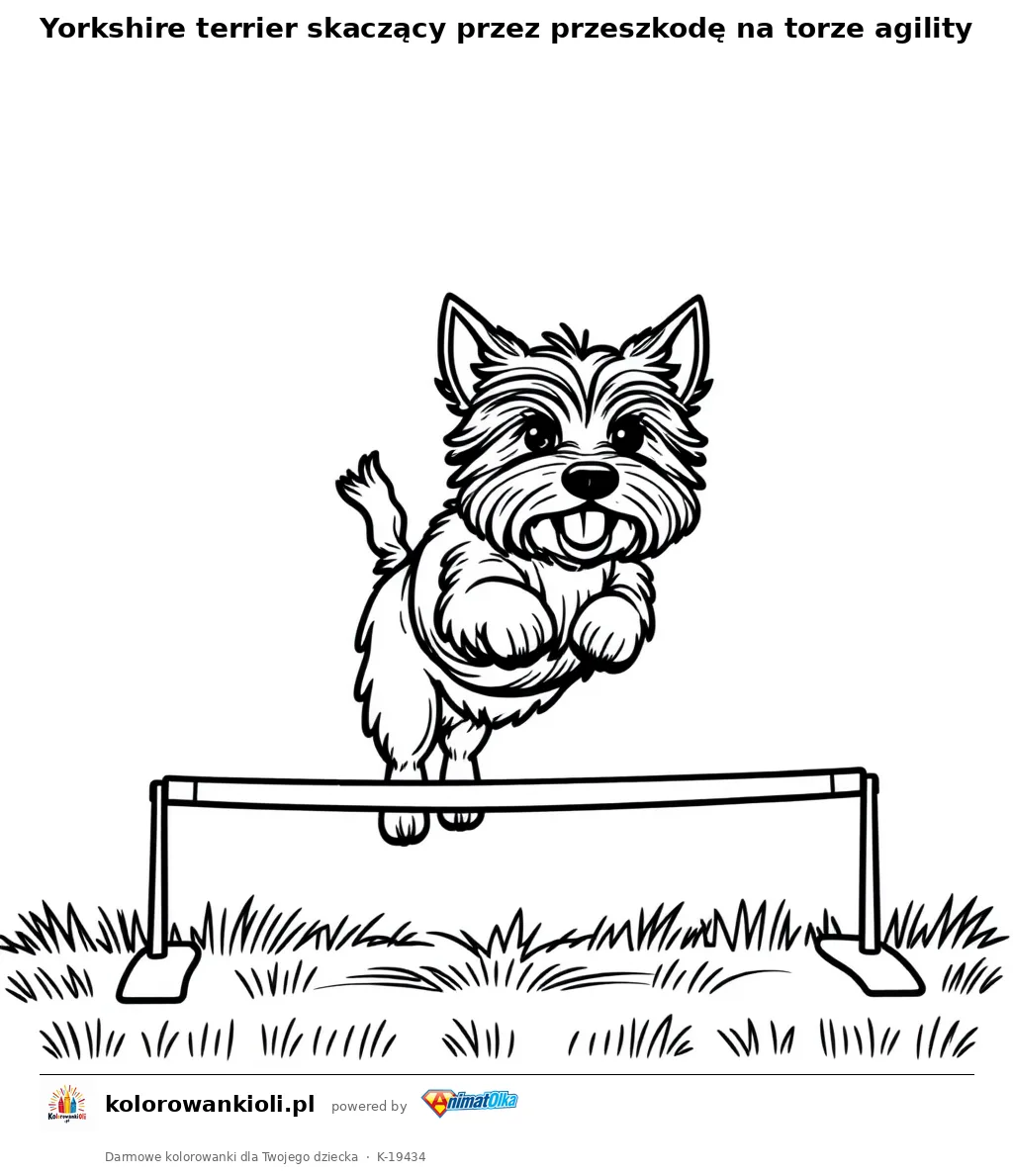 Yorkshire terrier skaczący przez przeszkodę na torze agility — kolorowanka do wydruku dla dzieci