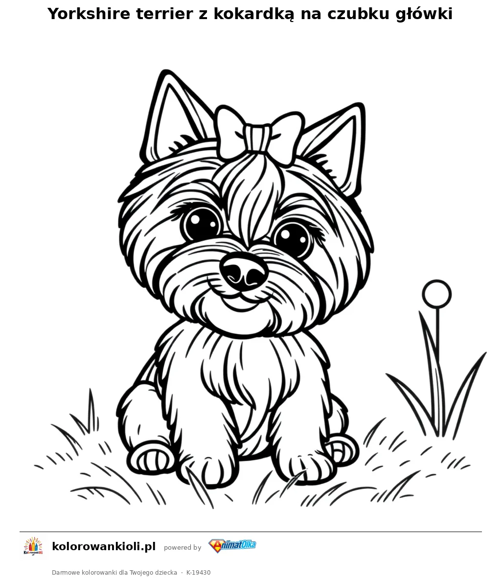 Yorkshire terrier z kokardką na czubku główki — kolorowanka do wydruku dla dzieci