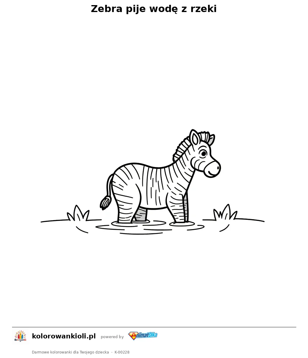 Zebra pije wodę z rzeki — kolorowanka do wydruku dla dzieci