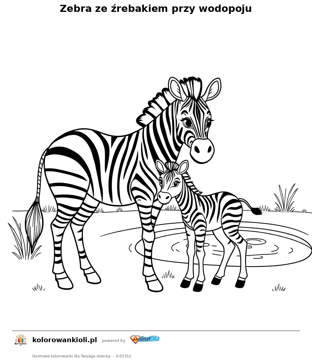 Zebra ze źrebakiem przy wodopoju — kolorowanka do wydruku dla dzieci