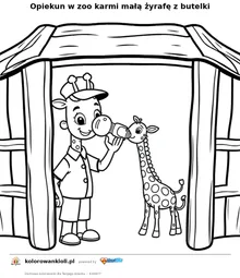 Opiekun w zoo karmi małą żyrafę z butelki — kolorowanka do wydruku dla dzieci