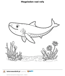Megalodon nad rafą — kolorowanka do wydruku dla dzieci