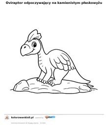 Oviraptor odpoczywający na kamienistym płaskowyżu — kolorowanka do wydruku dla dzieci