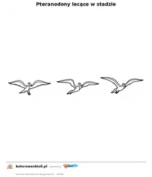 Pteranodony lecące w stadzie — kolorowanka do wydruku dla dzieci