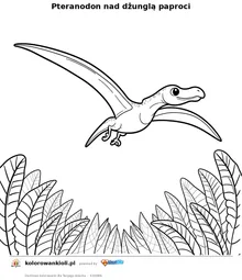 Pteranodon nad dżunglą paproci — kolorowanka do wydruku dla dzieci