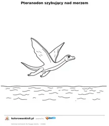 Pteranodon szybujący nad morzem — kolorowanka do wydruku dla dzieci