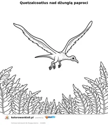 Quetzalcoatlus nad dżunglą paproci — kolorowanka do wydruku dla dzieci