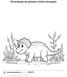 Triceratops na polanie wśród skrzypów — kolorowanka do wydruku dla dzieci