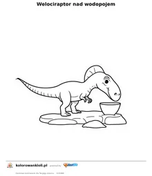 Welociraptor nad wodopojem — kolorowanka do wydruku dla dzieci